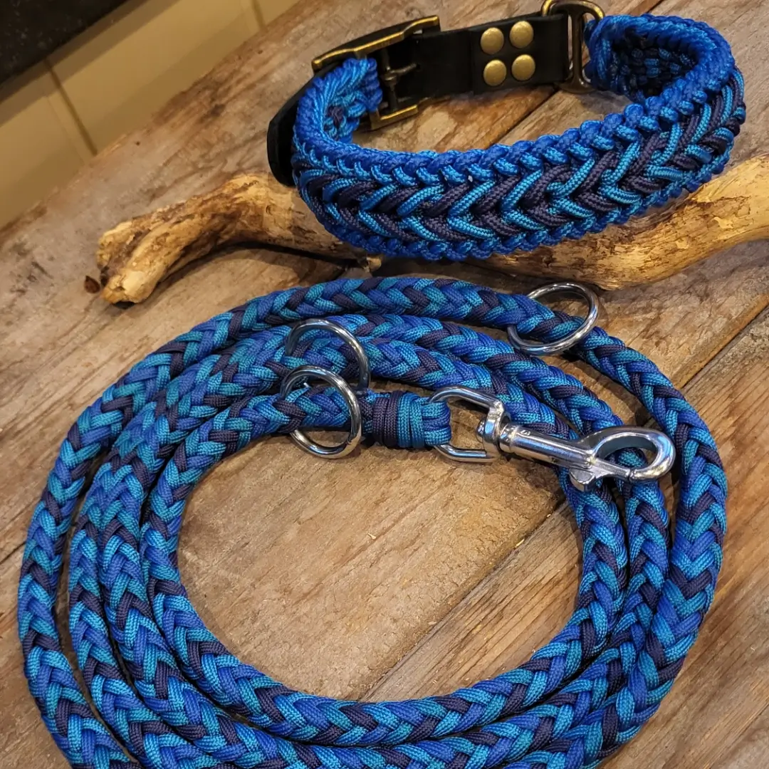 Blauwe halsband en leiband set